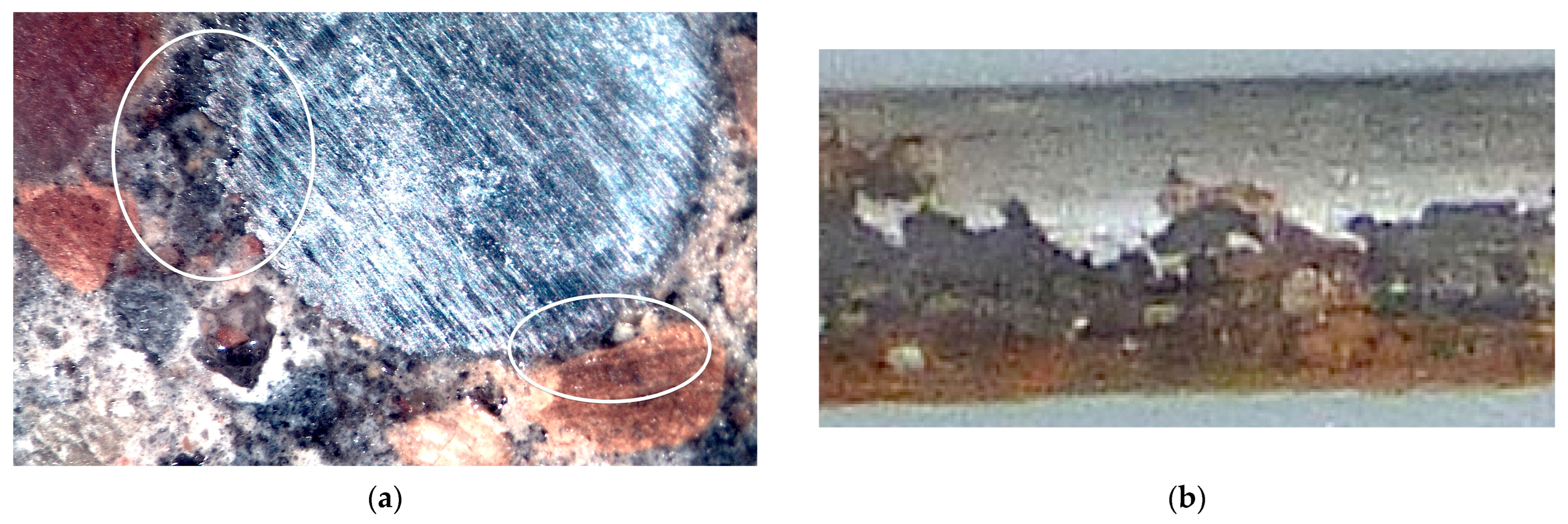 Cmd 05 00003 g008 Cmd 05 00003 g008