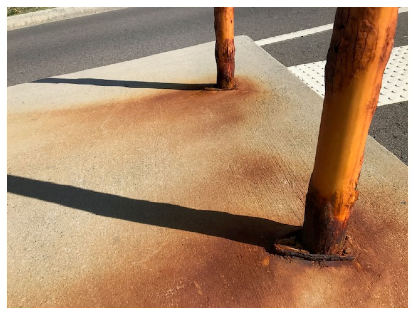 Cmd 05 00003 g010 Cmd 05 00003 g010