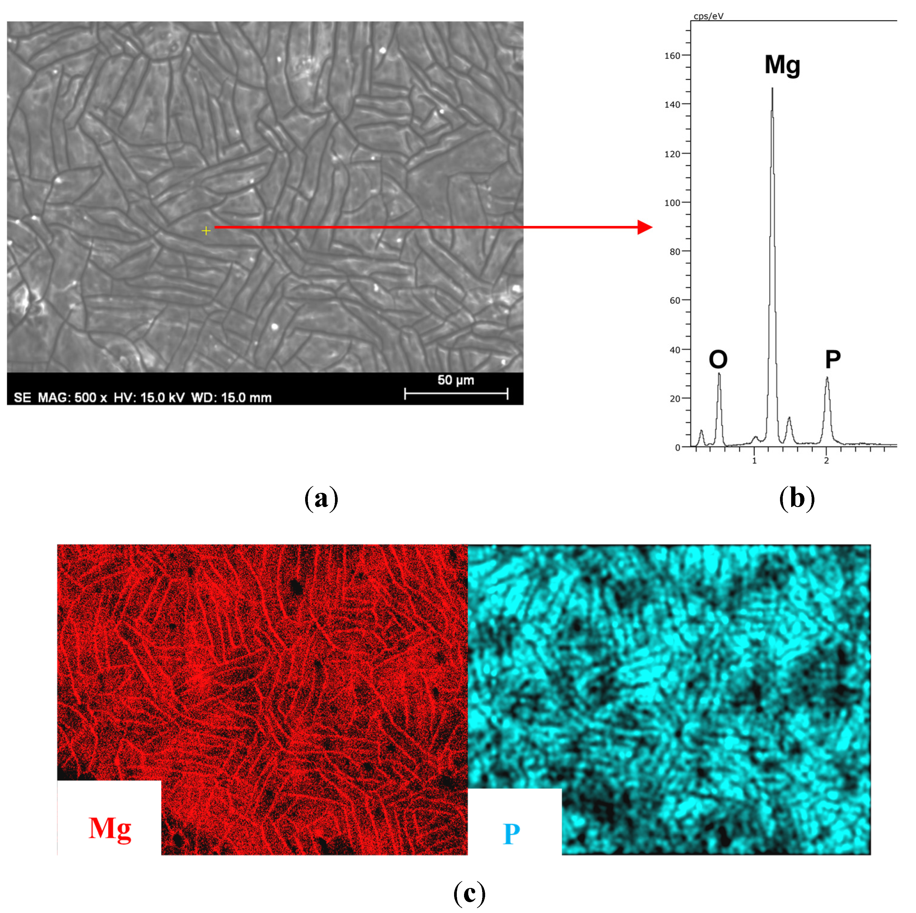 Coatings 05 00039 g006