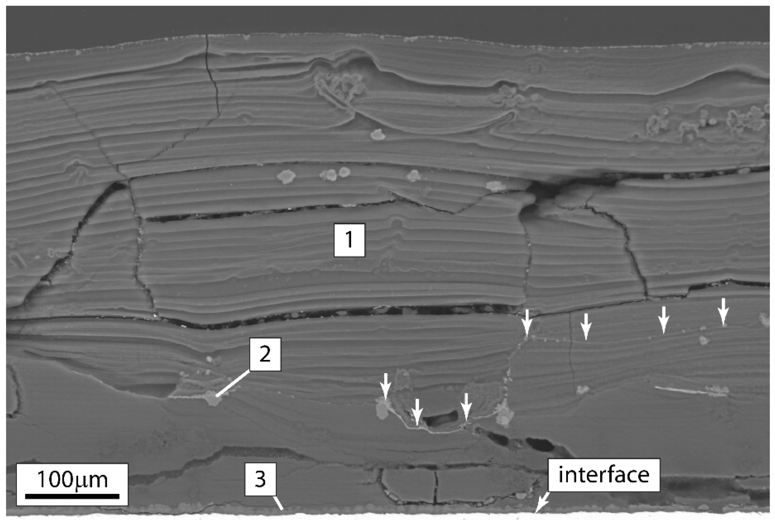 Coatings 05 00816 g008