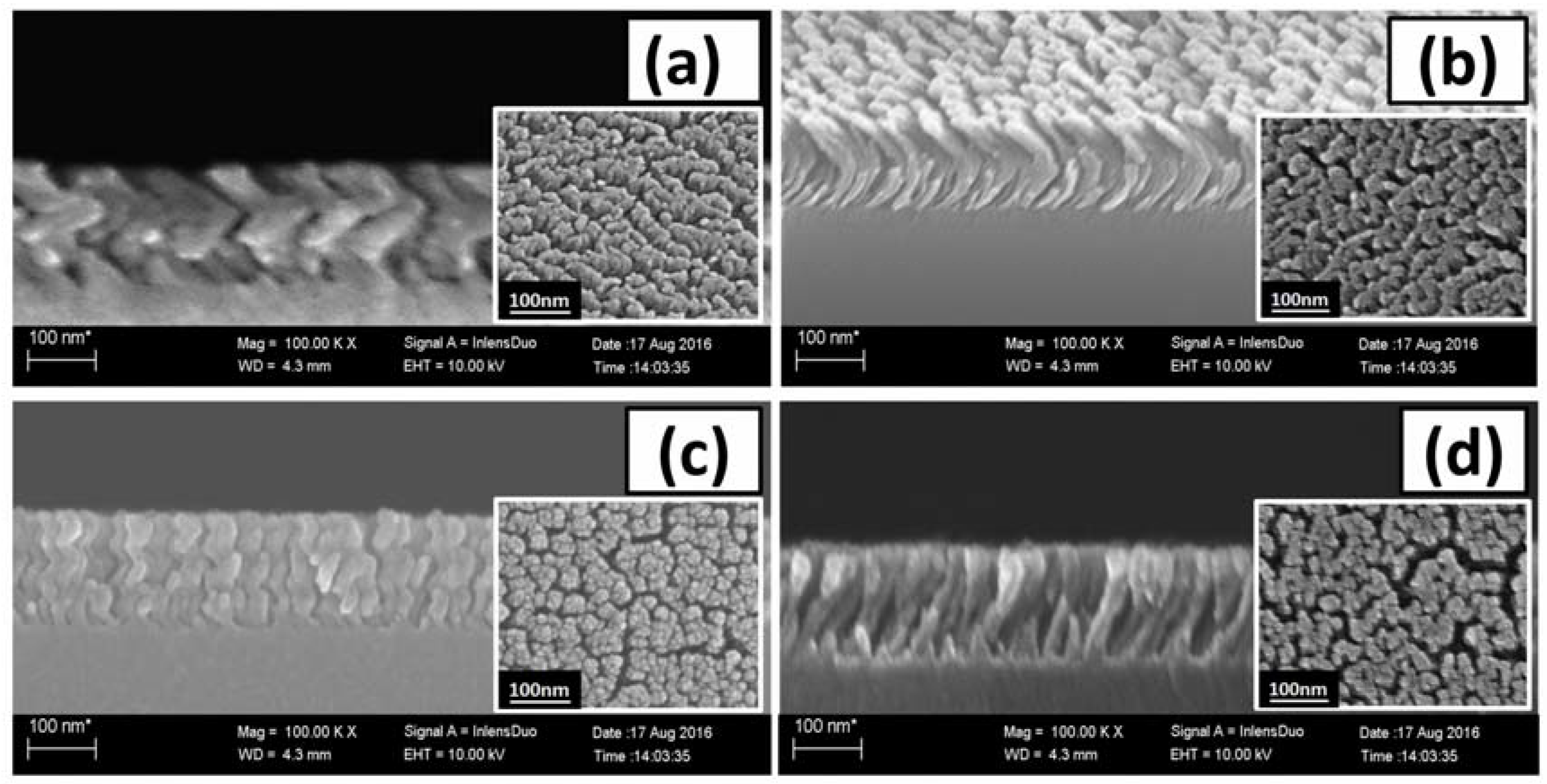 Coatings 08 00210 g001