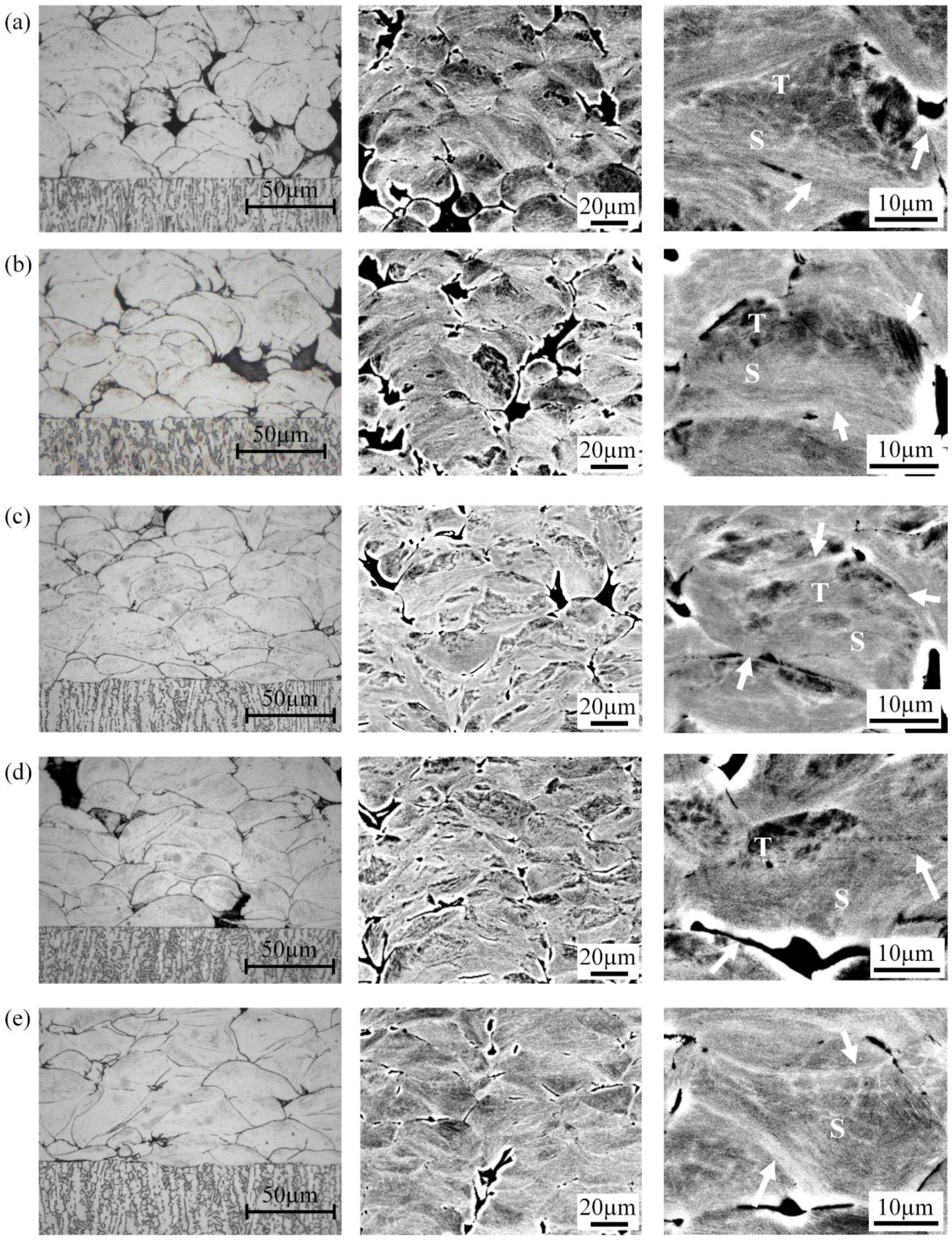 Coatings 08 00327 g006