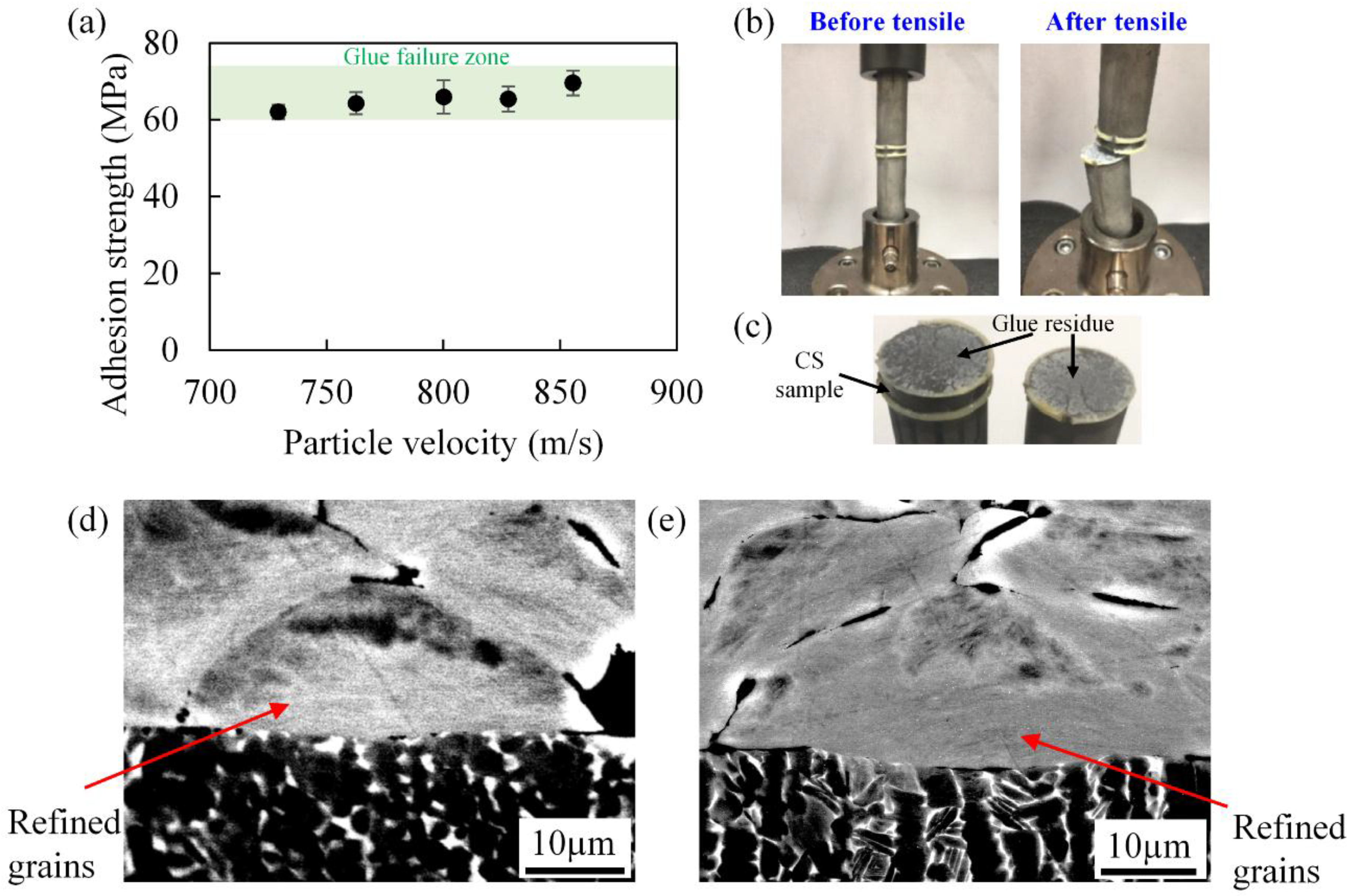 Coatings 08 00327 g008