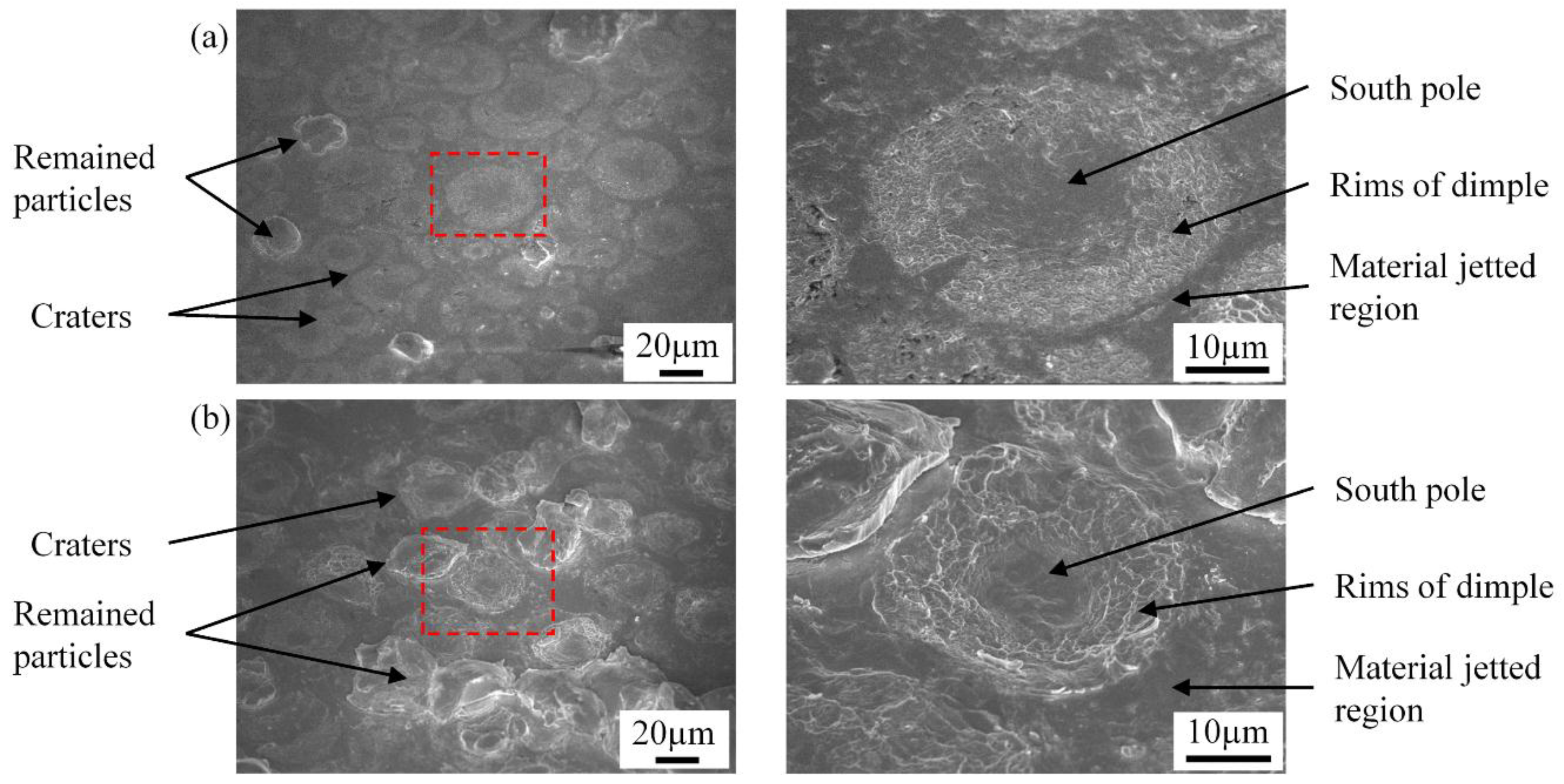 Coatings 08 00327 g009