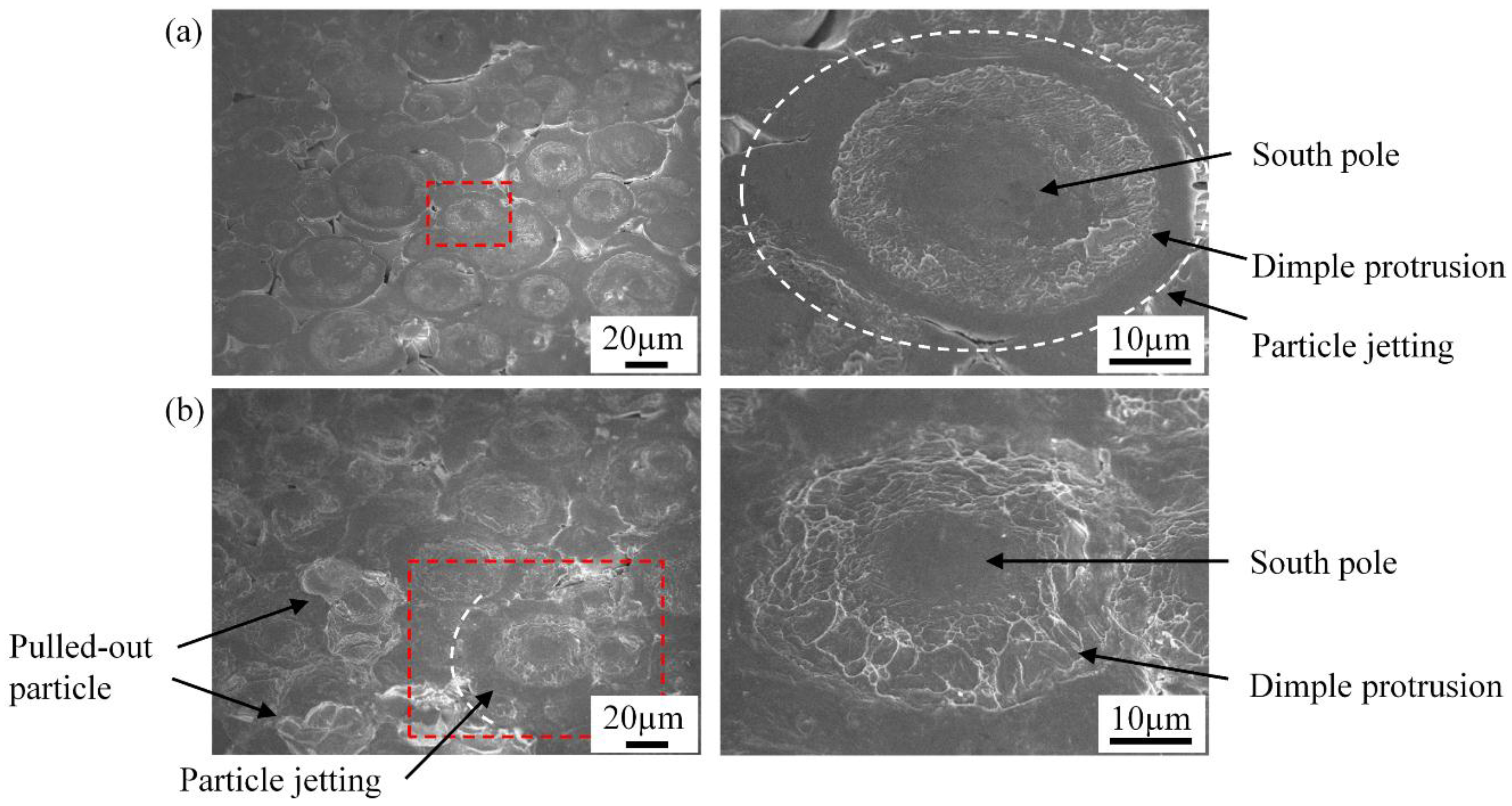 Coatings 08 00327 g010