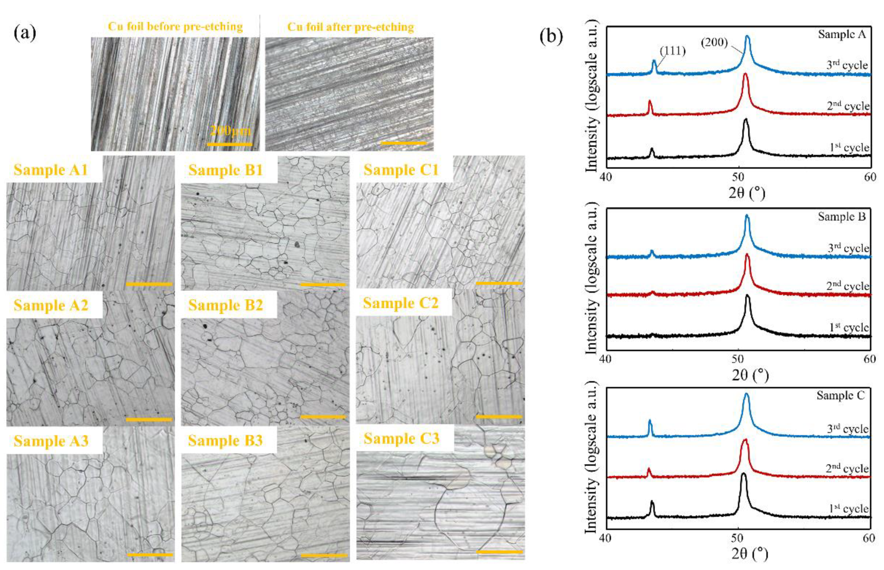 Coatings 08 00334 g002