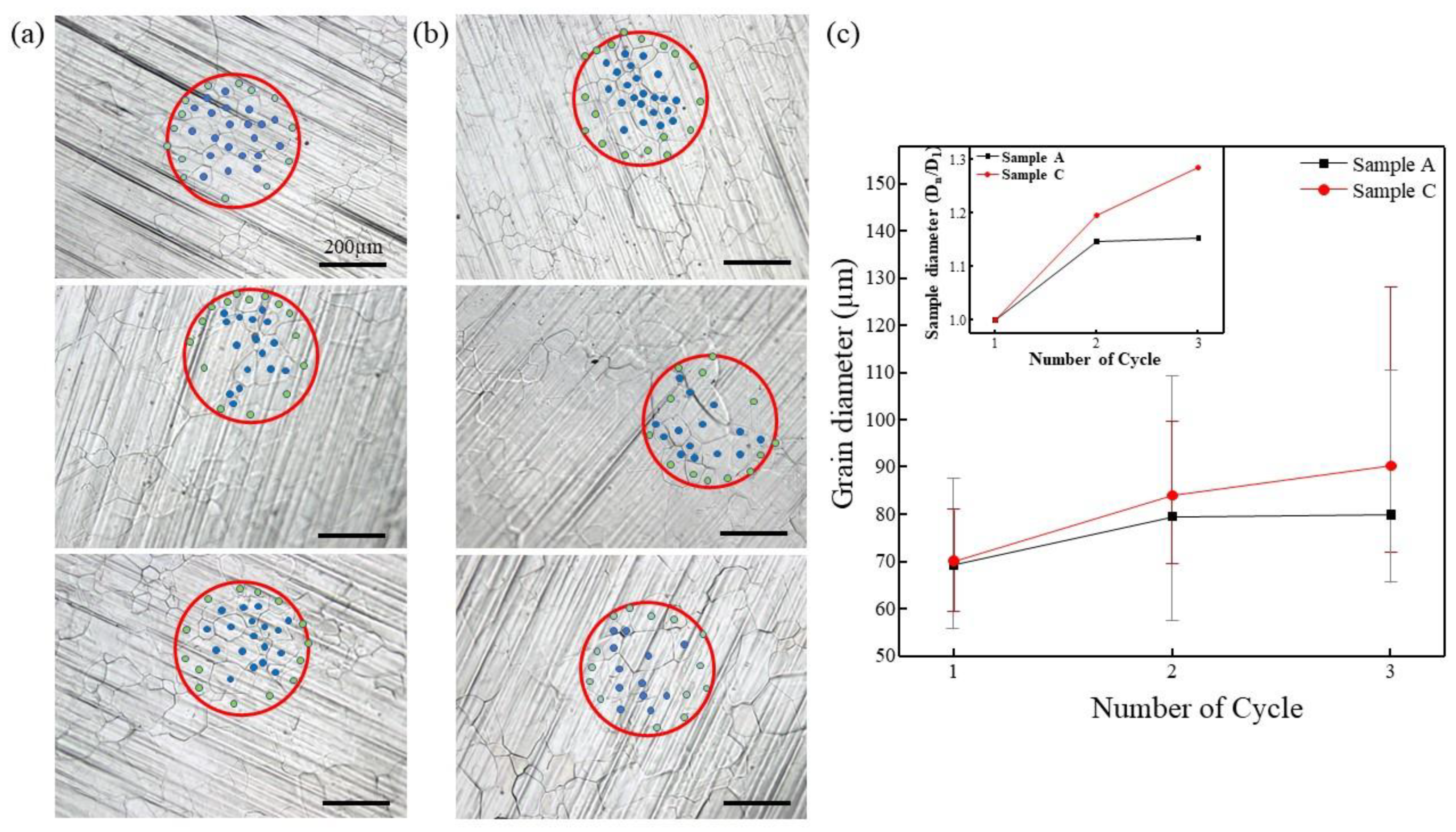 Coatings 08 00334 g003