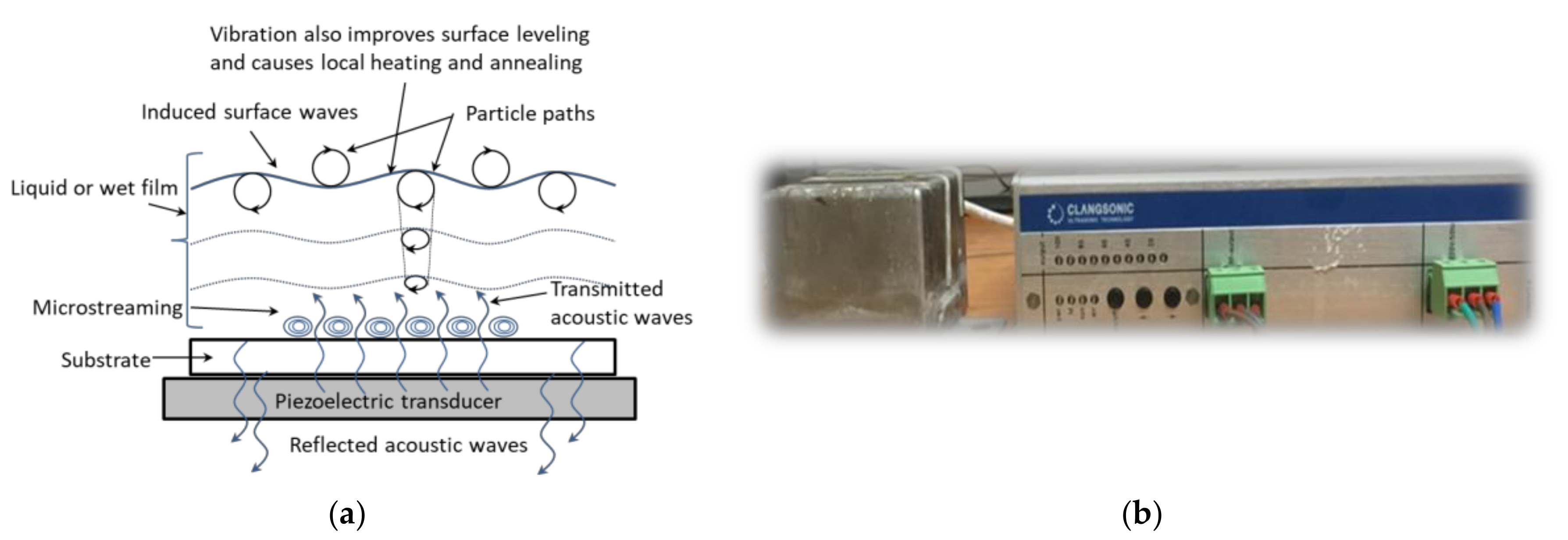Coatings 08 00337 g001