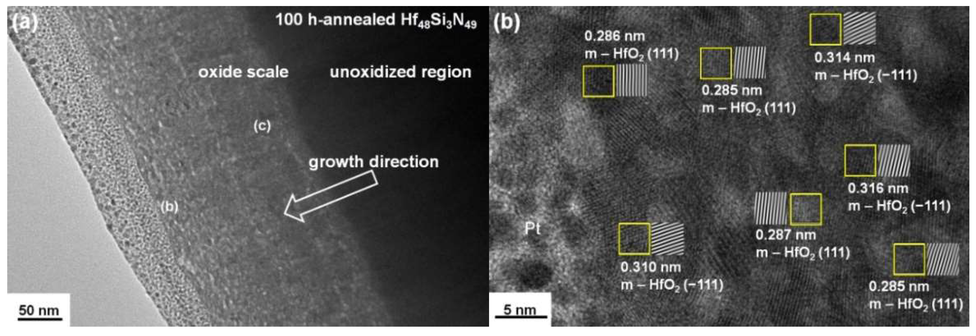 Coatings 08 00354 g017a