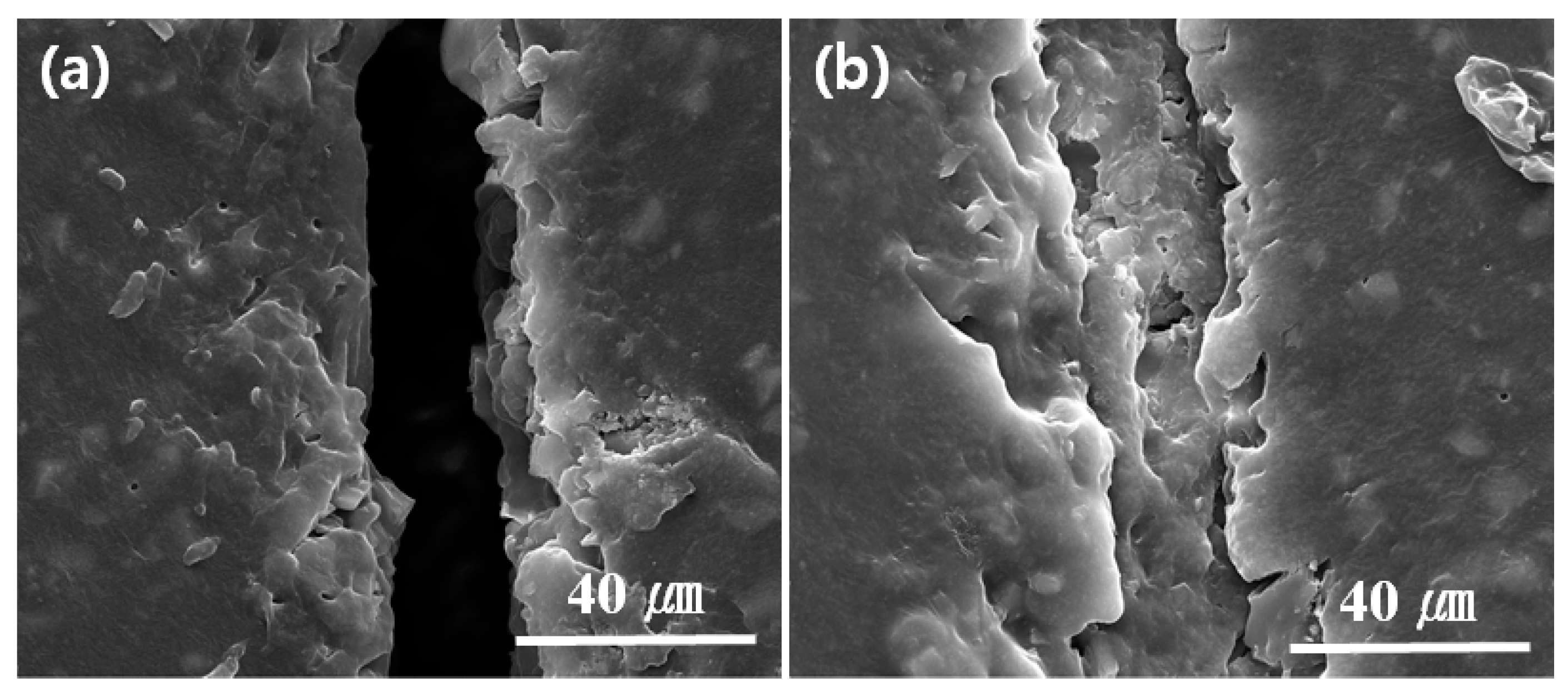 Coatings 08 00404 g004