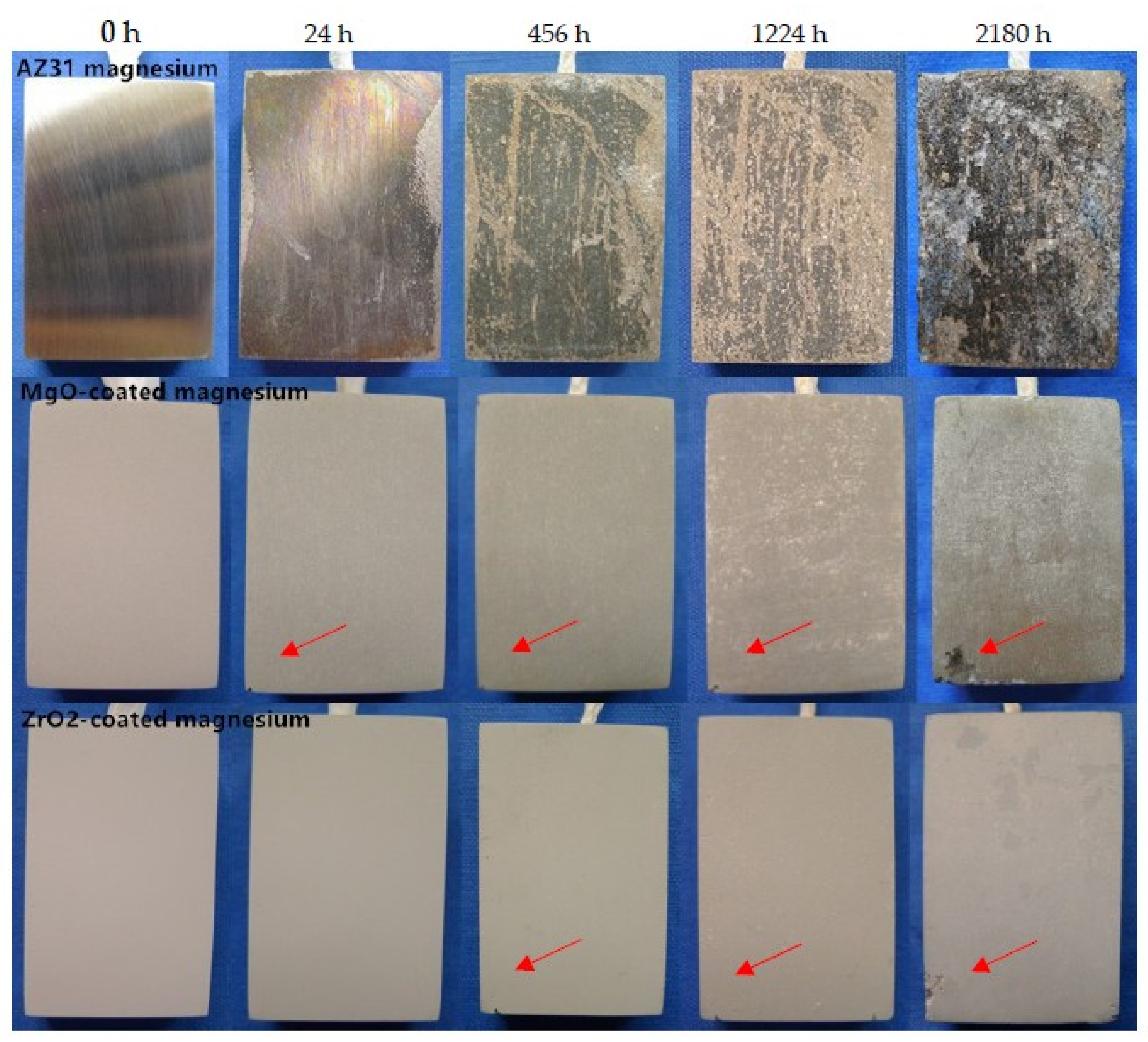 Coatings | Free Full-Text | Comparison Of Corrosion Resistance And ...