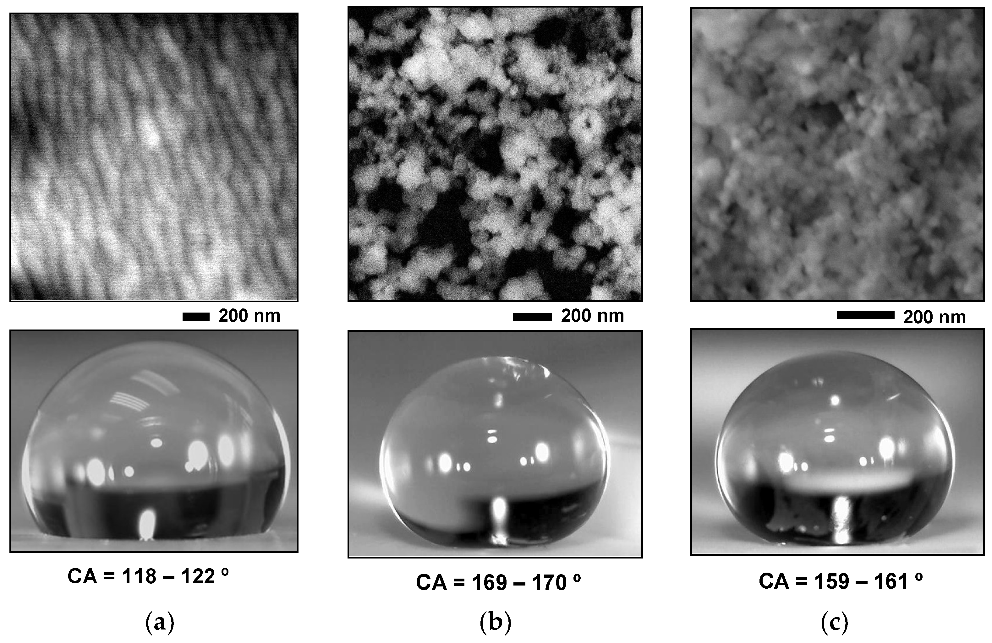 Coatings 09 00036 g001