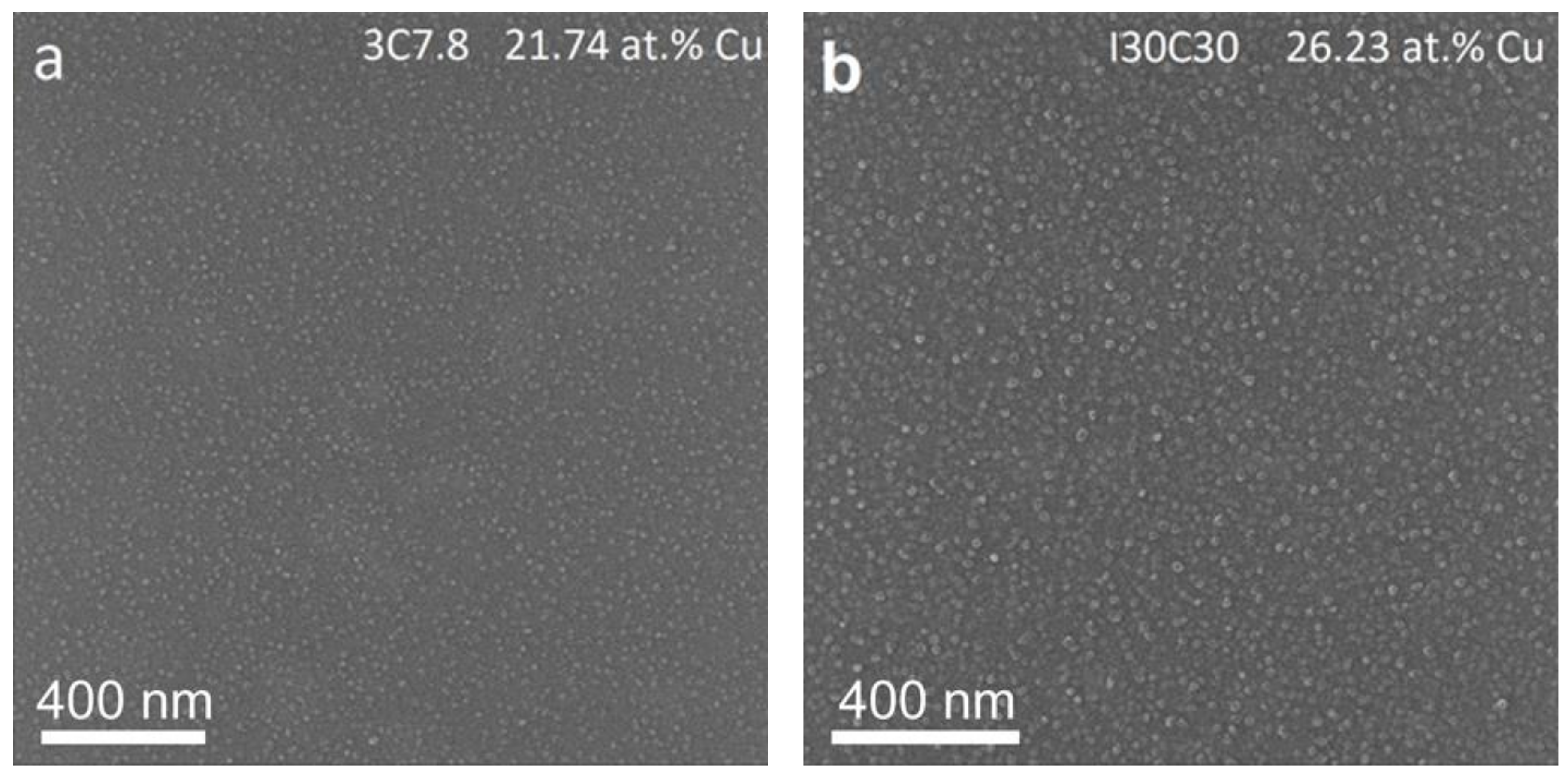 Coatings 09 00100 g002a