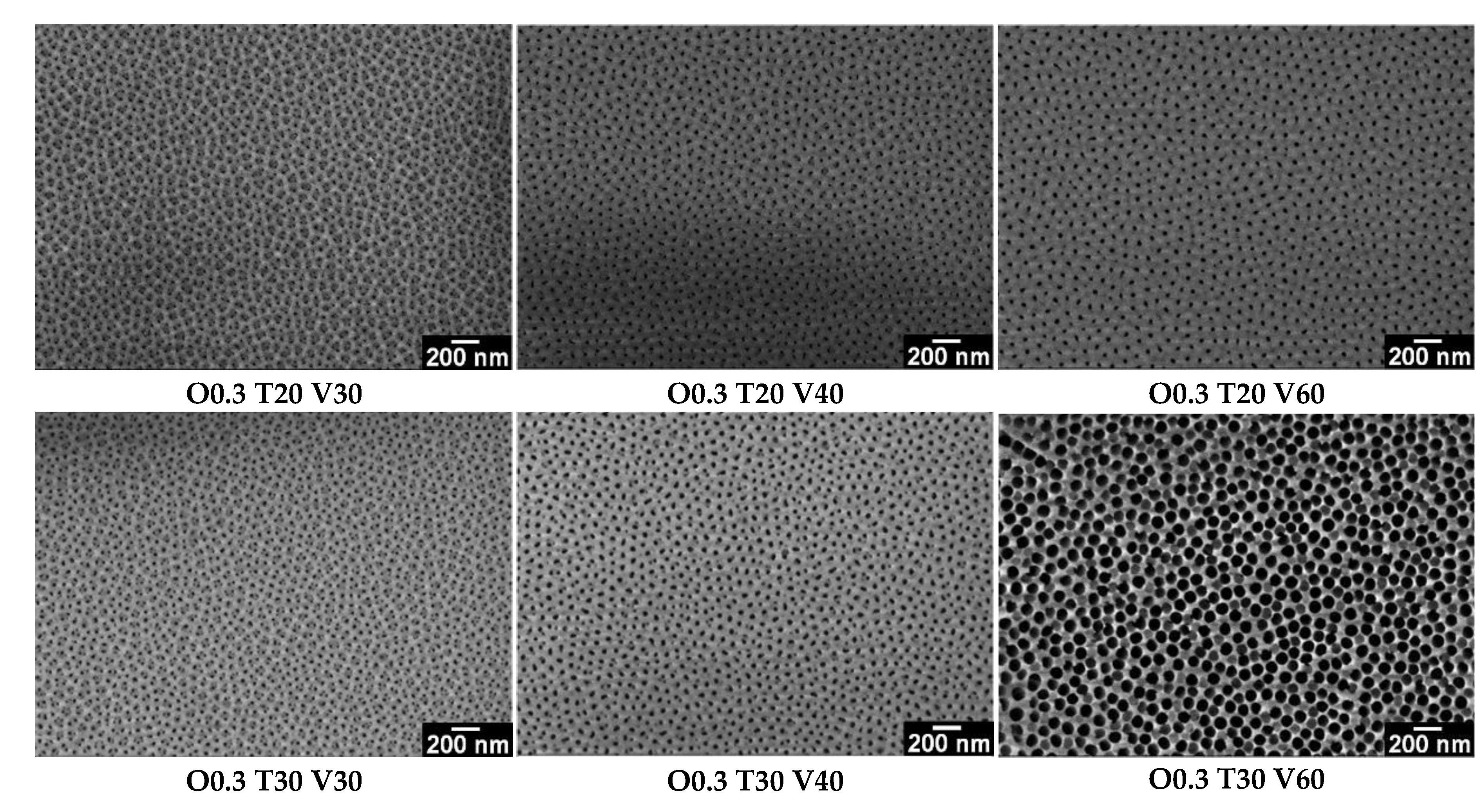 Coatings 09 00115 g002a