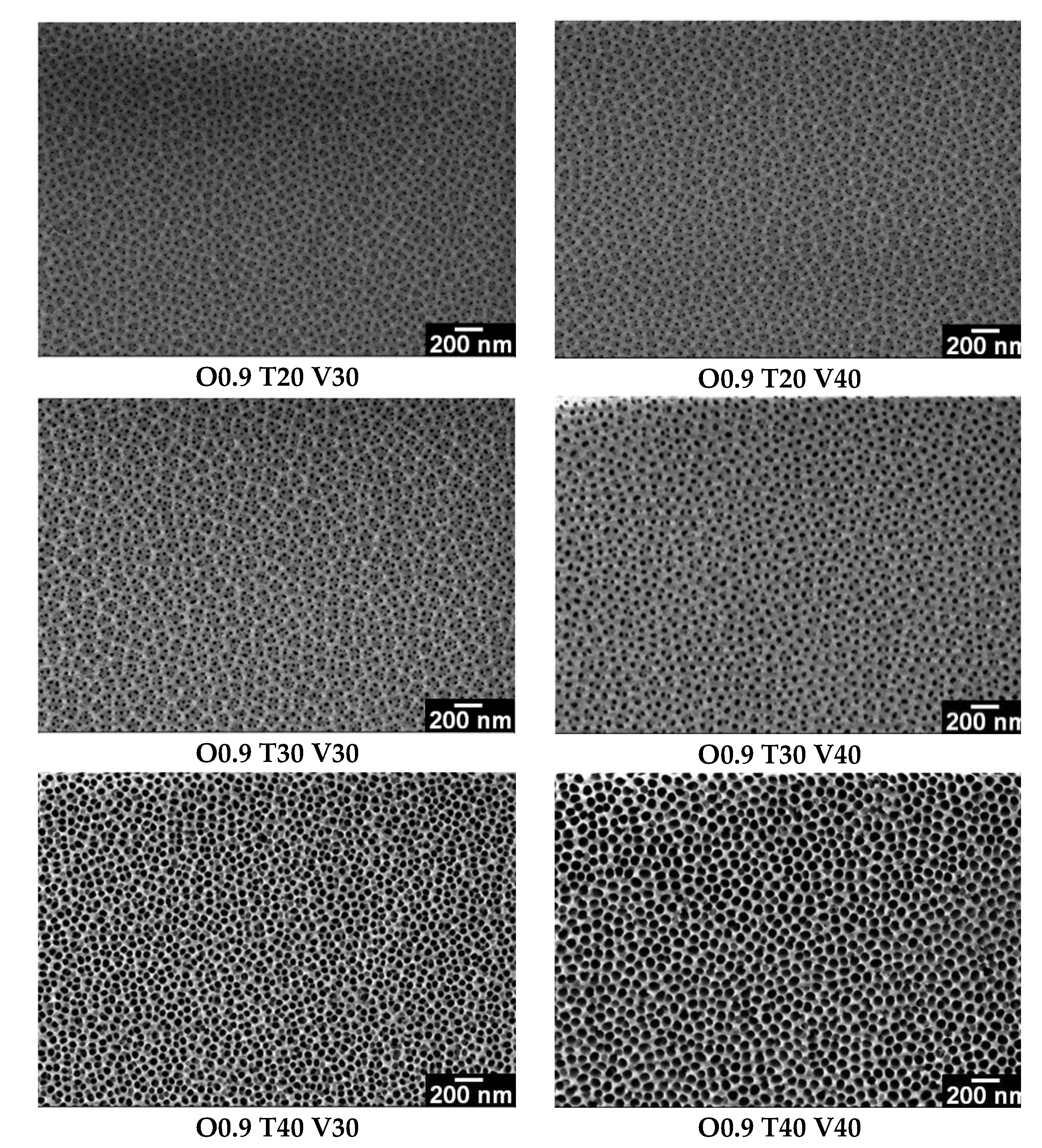 Coatings 09 00115 g003