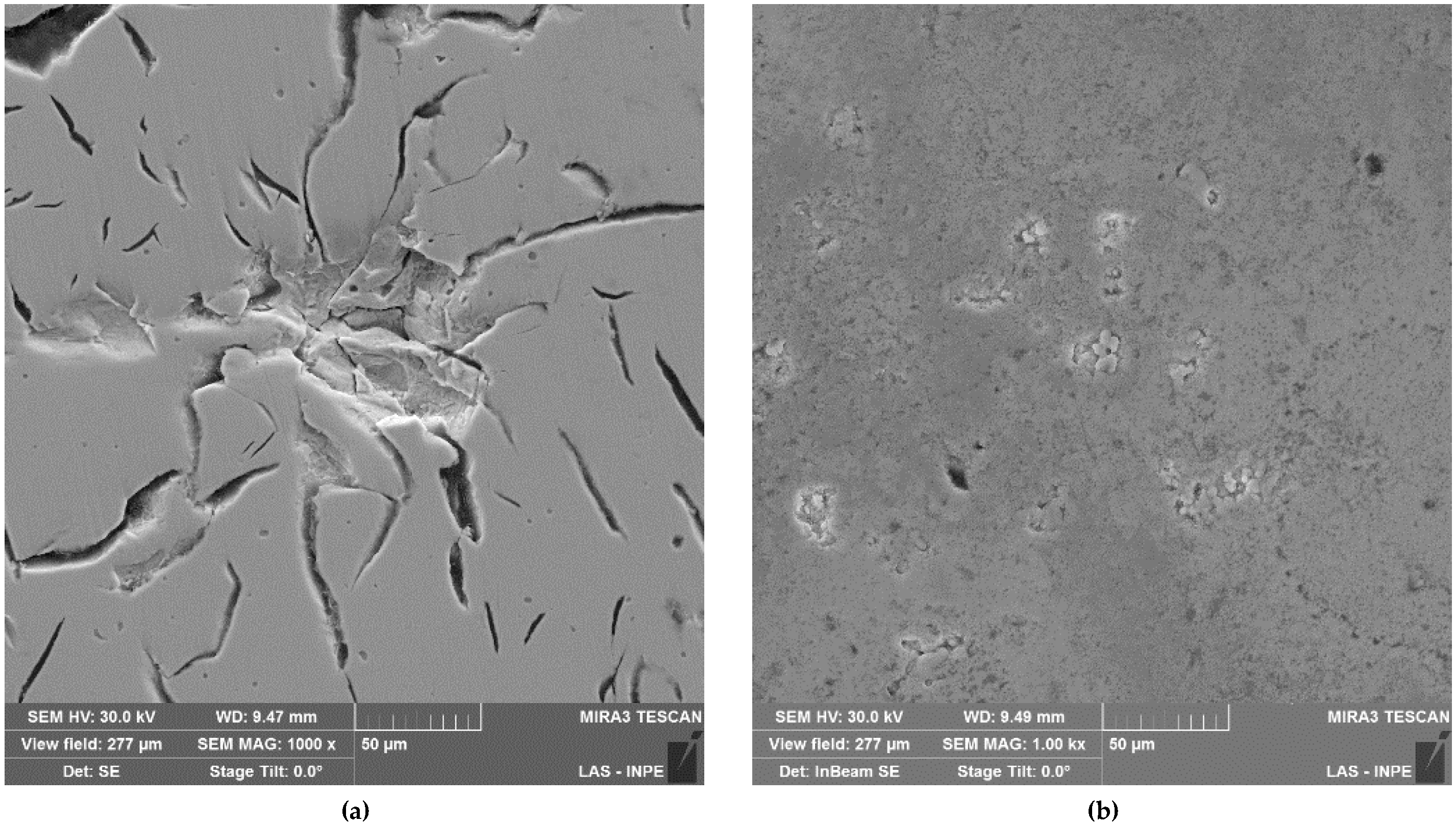 Coatings | Free Full-Text | Corrosiveness of Palm Biodiesel in Gray Cast  Iron Coated by Thermoreactive Diffusion Vanadium Carbide (VC) Coating | HTML