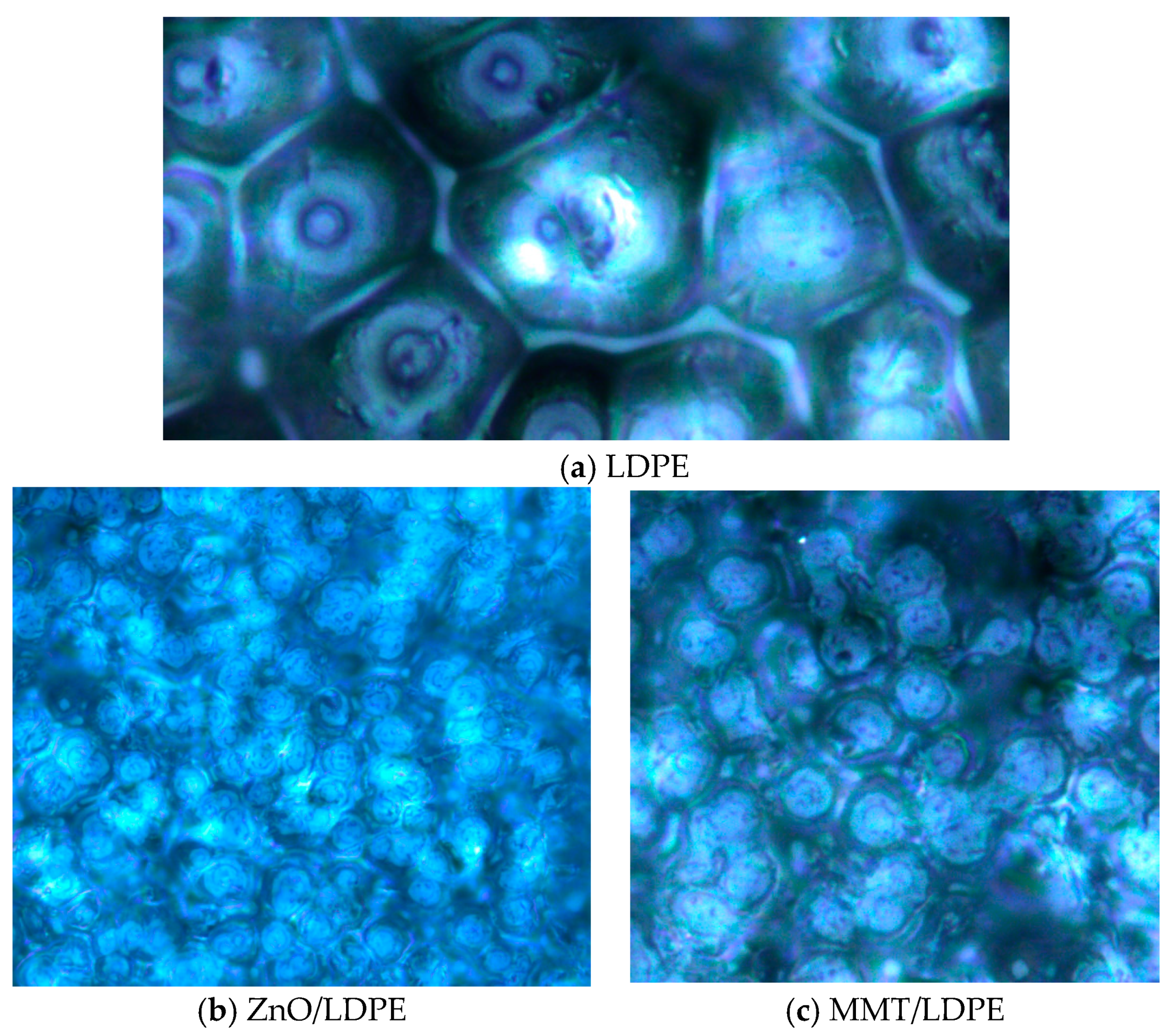 Coatings 09 00204 g007