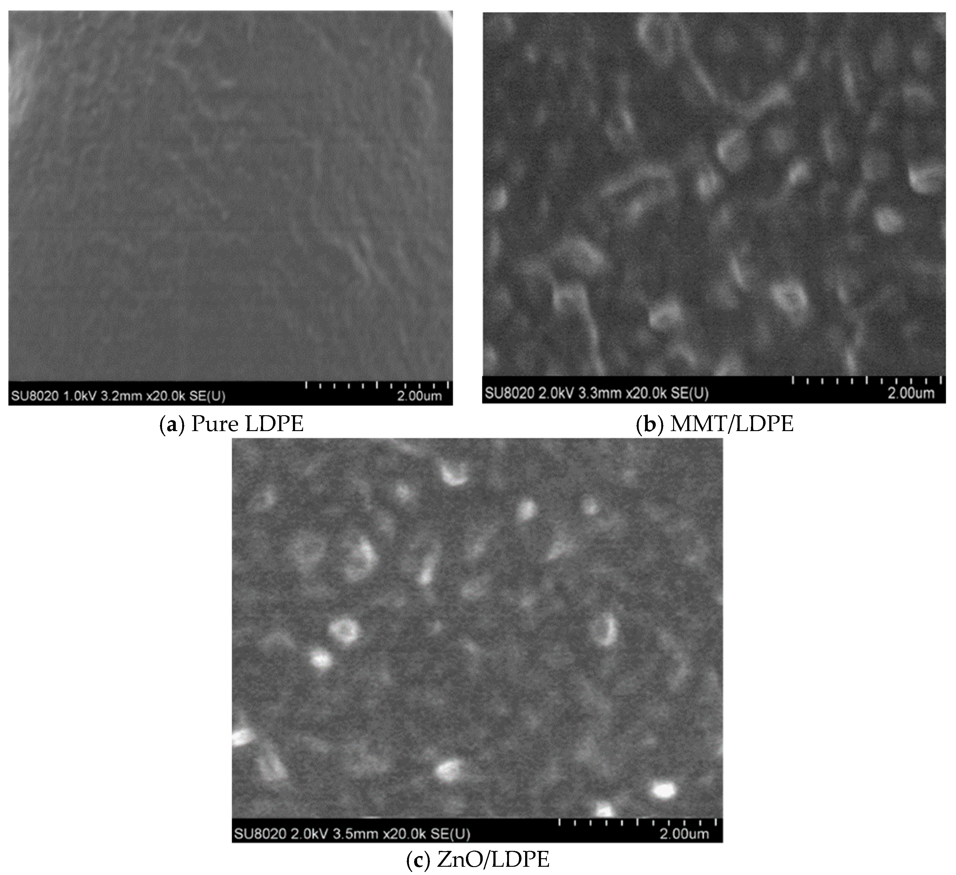 Coatings 09 00204 g008