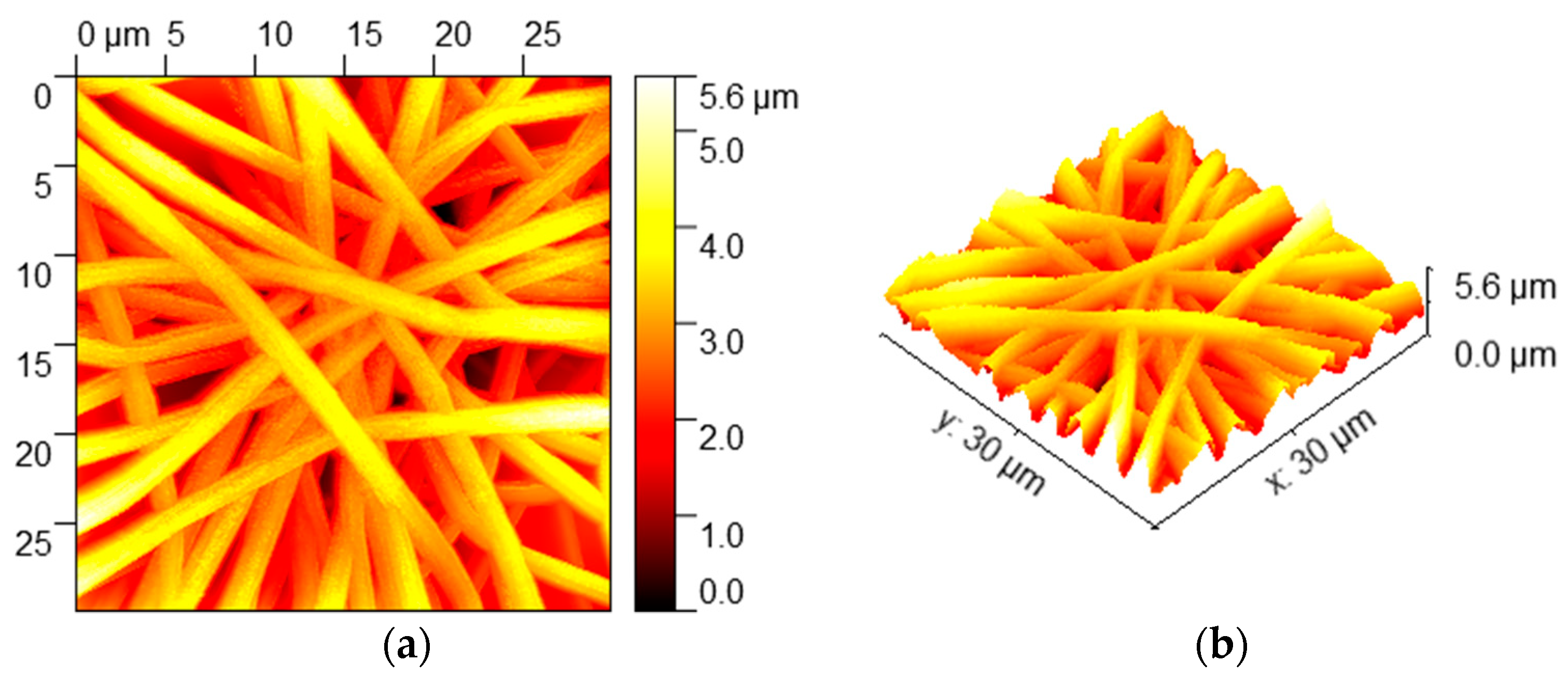 Coatings 09 00216 g005