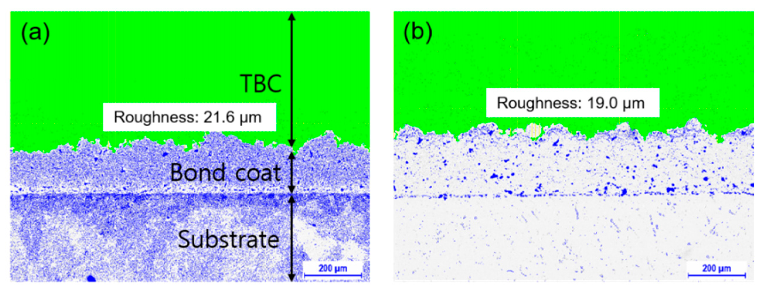 Coatings 09 00229 g005