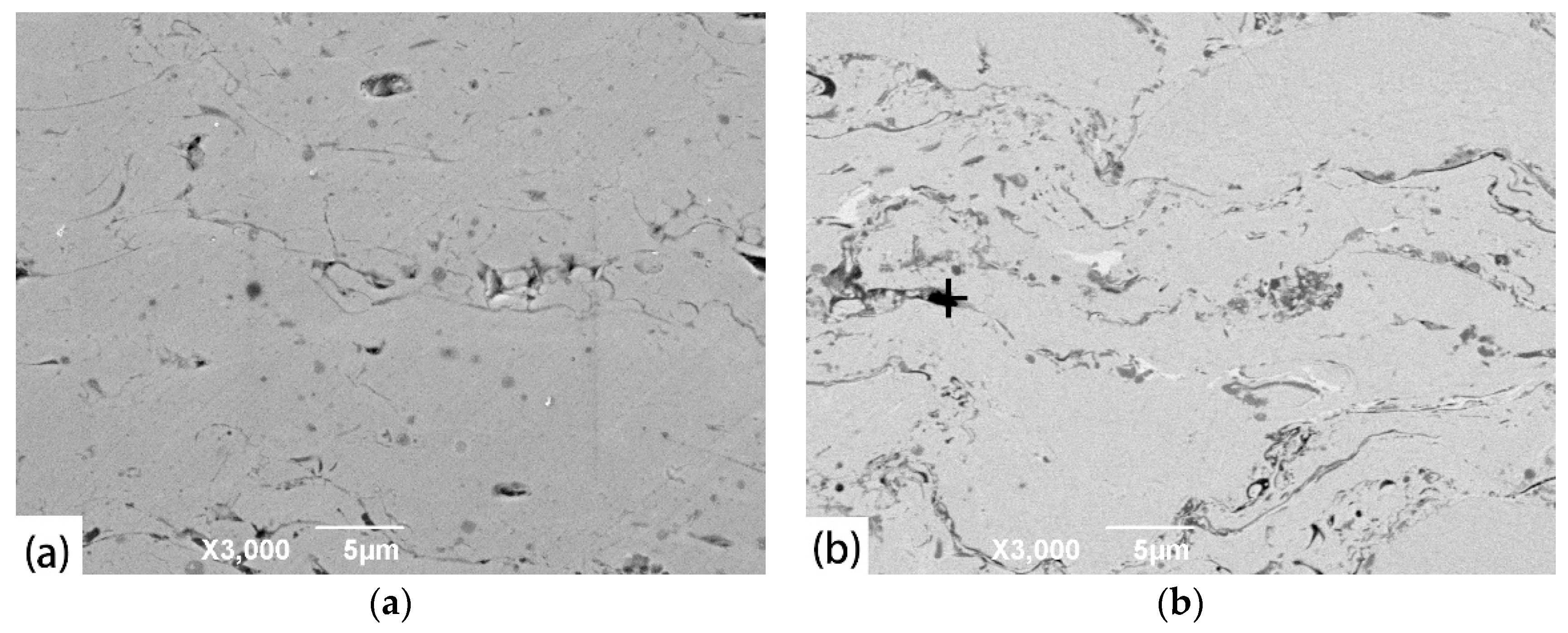 Coatings 09 00241 g003a