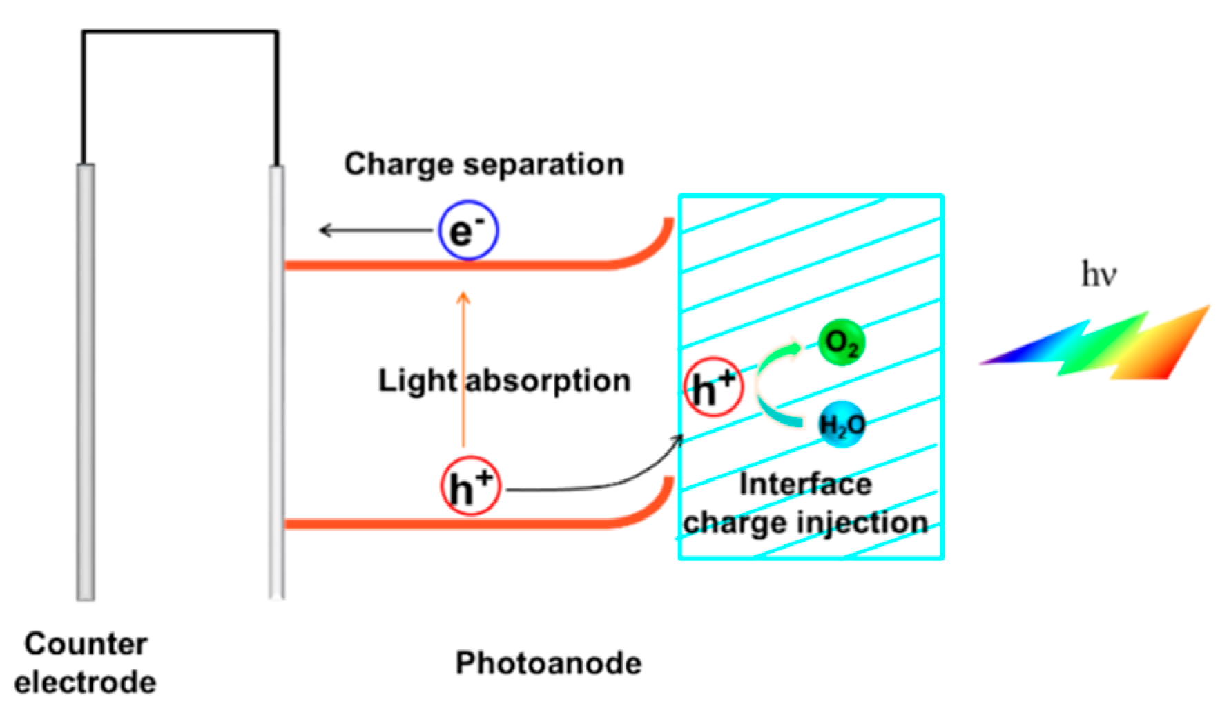 Coatings 09 00309 g002