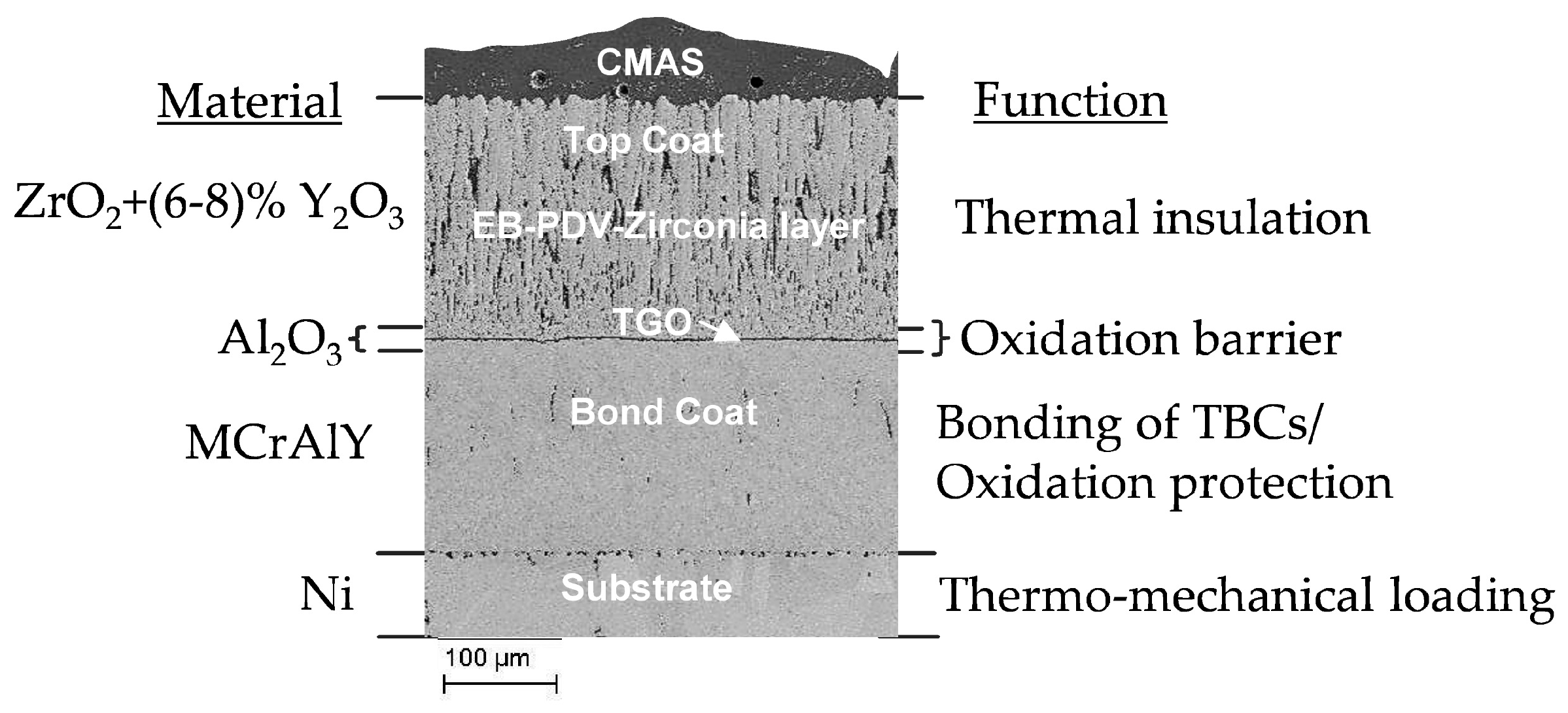 Coatings | Free Full-Text | Flow Kinetics of Molten Silicates through  Thermal Barrier Coating: A Numerical Study