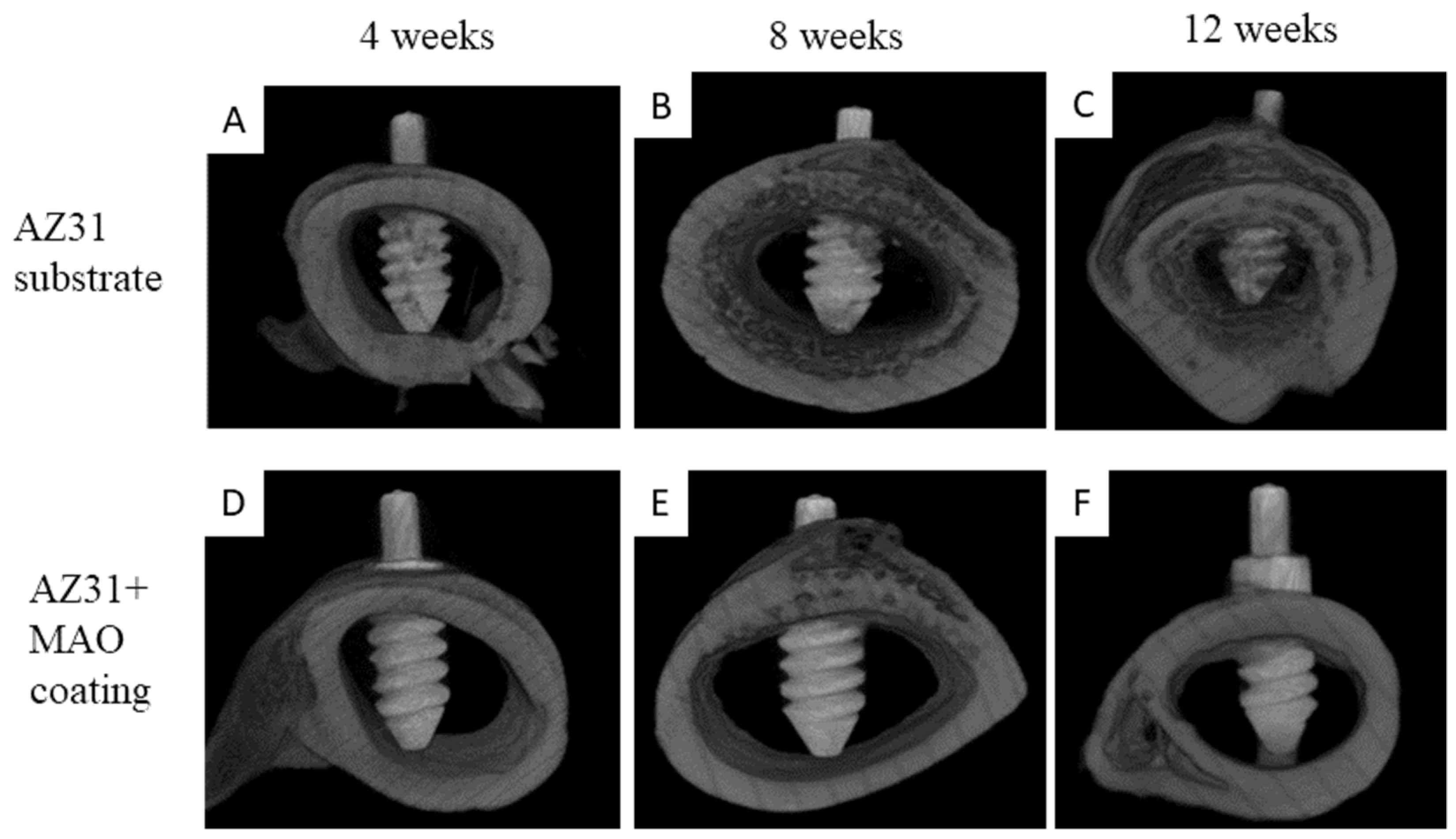 Coatings 09 00396 g011
