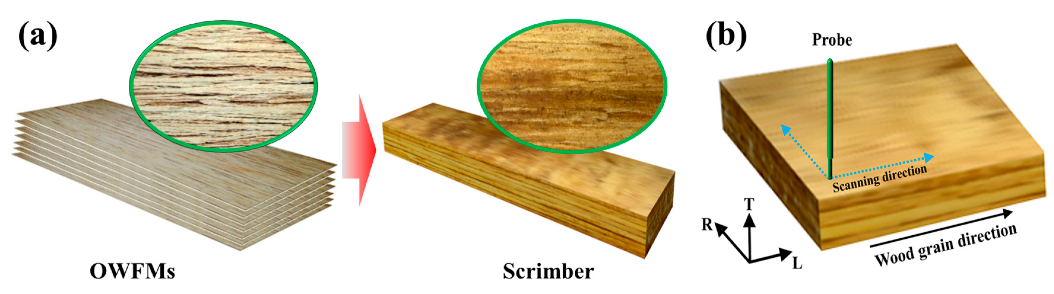 Coatings 09 00397 g003