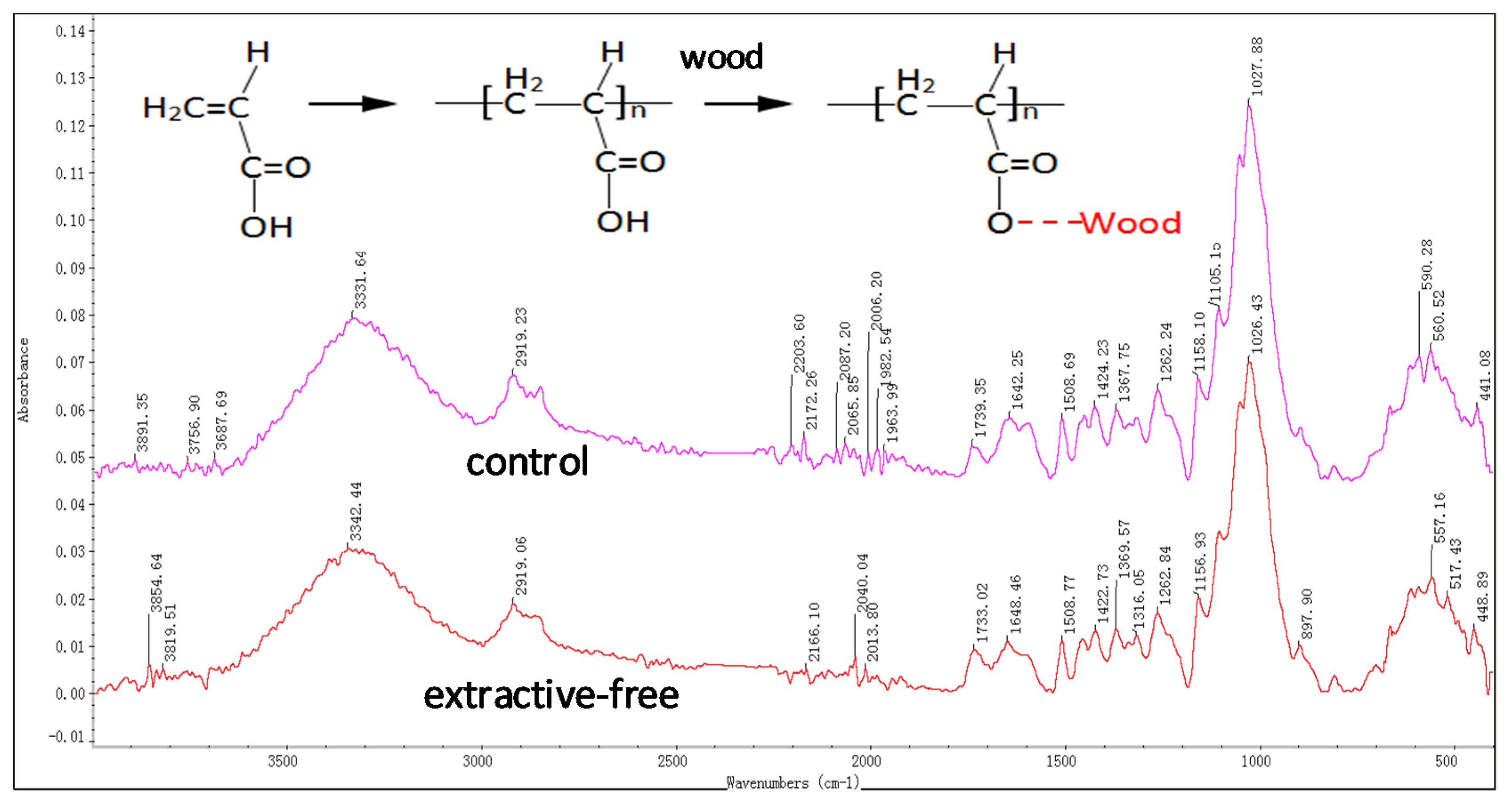 Coatings 09 00449 g004