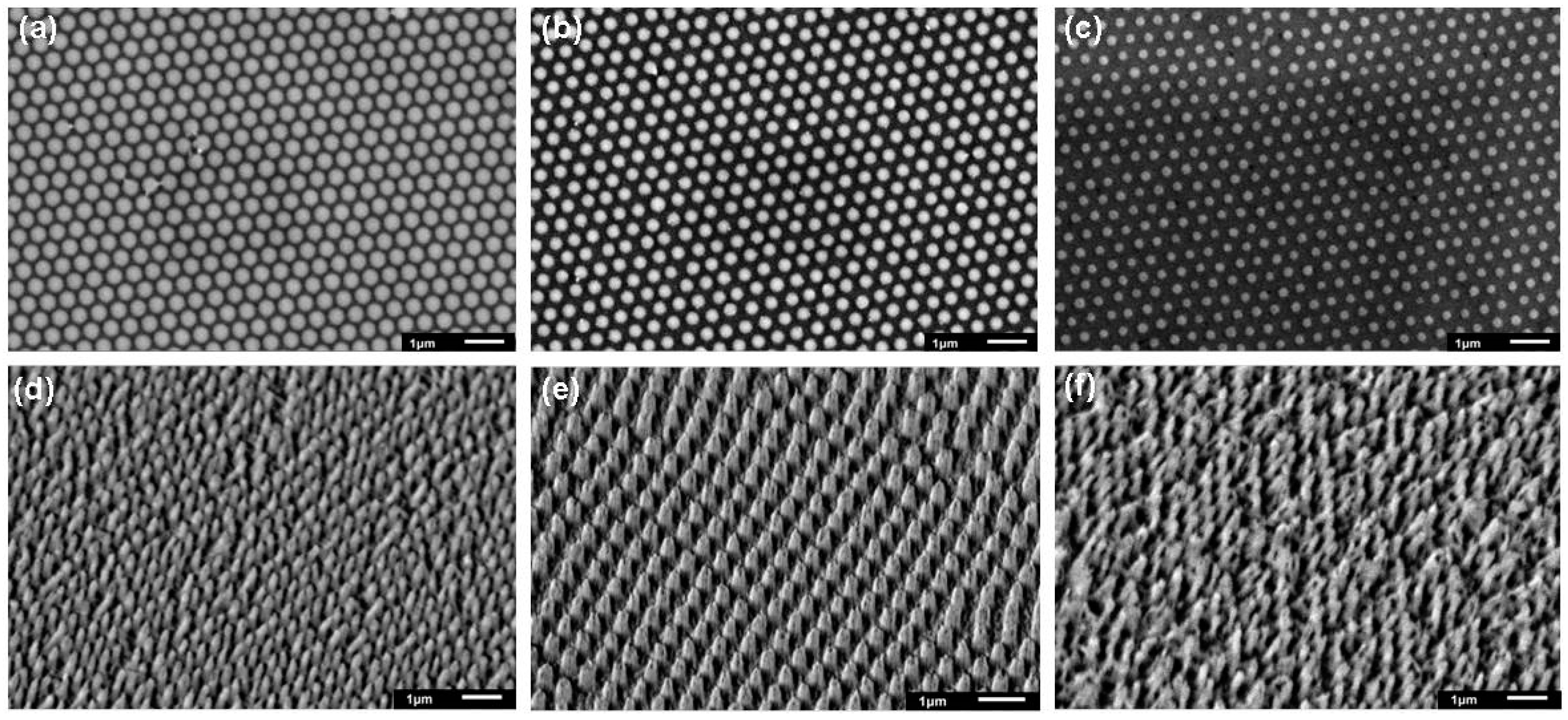 Coatings 09 00453 g005
