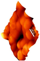 Coatings 09 00457 i001