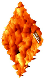 Coatings 09 00457 i005