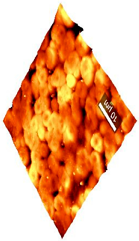 Coatings 09 00457 i006