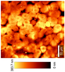 Coatings 09 00457 i008
