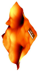 Coatings 09 00457 i009