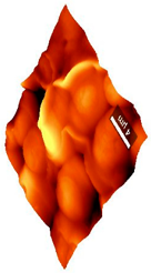 Coatings 09 00457 i011