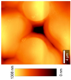 Coatings 09 00457 i013