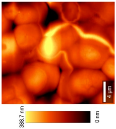 Coatings 09 00457 i014
