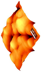 Coatings 09 00457 i016