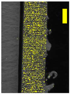 Coatings 09 00457 i025