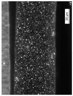 Coatings 09 00457 i027