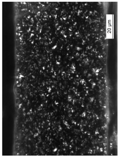 Coatings 09 00457 i028