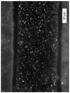 Coatings 09 00457 i029