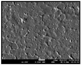 Coatings 09 00457 i036