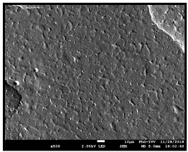 Coatings 09 00457 i037