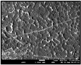 Coatings 09 00457 i039