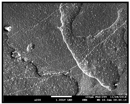 Coatings 09 00457 i041