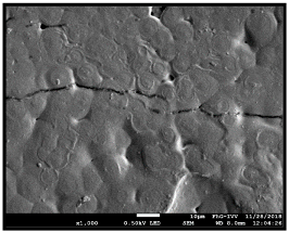 Coatings 09 00457 i042