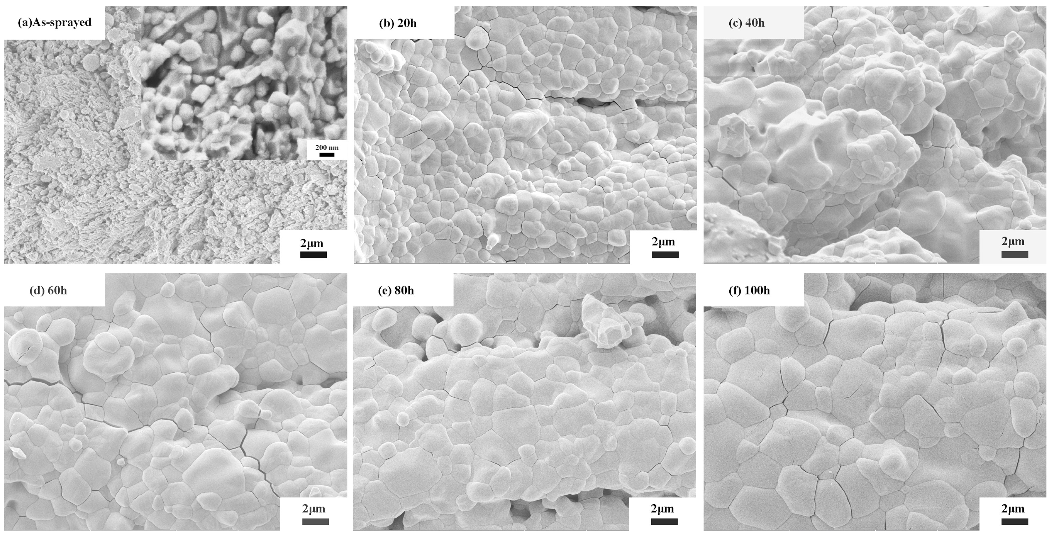 Coatings 09 00464 g003